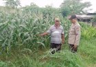 Polsek-Tarik-Masifkan-Patroli-Sambang-Desa,-untuk-Kondusifitas-Kamtibmas-dan-Kelangsungan-Ketahanan-Pangan