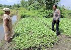 Polisi-Cinta-Petani,-Bhabinkamtibmas-Wonoayu-Dampingi-Petani-Sawi-di-Becirongengor