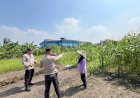 Ketahanan-Pangan-Polri-Makin-Masif,-Polsek-Sedati-Intensif-Dampingi-Petani-Jagung-Wujudkan-Swasembada-Pangan-di-Sidoarjo