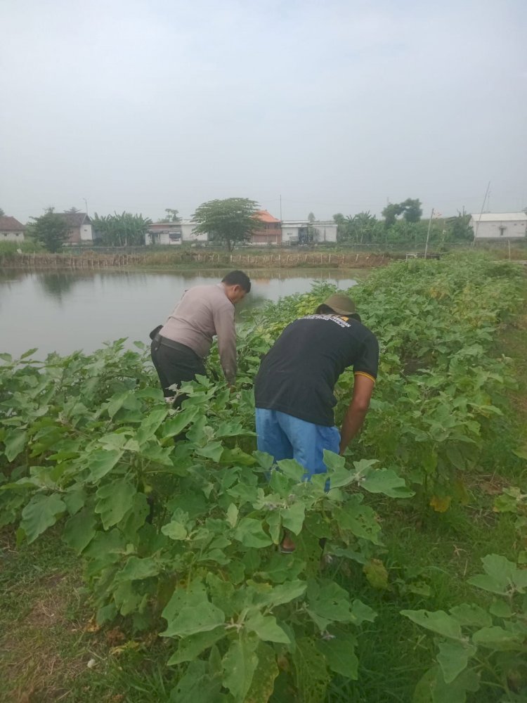 Bhabinkamtibmas Permisan Bersama Warga Inventarisasi Kendala Pengelolaan Lahan Pekarangan untuk Dukung Ketahanan Pangan
