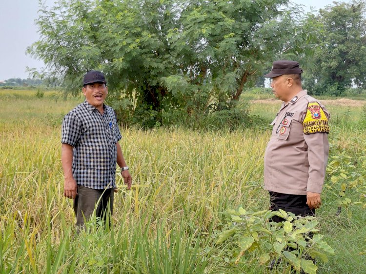 Tanah Desa Kragan Dimanfaatkan untuk Ketahanan Pangan, Kapolsek Gedangan Turunkan Bhabinkamtibmas Untuk Pendampingan