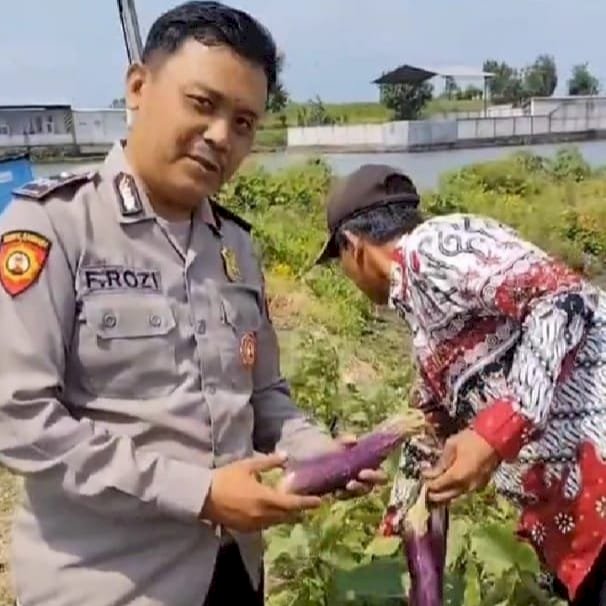 Bhabinkamtibmas Desa Permisan Polsek Jabon Tinjau Lahan Sayuran, Dukung Ketahanan Pangan Polresta Sidoarjo
